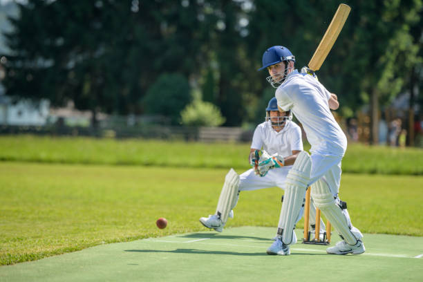 play cricket