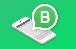 Everything To Know About WhatsApp business API And Its Features