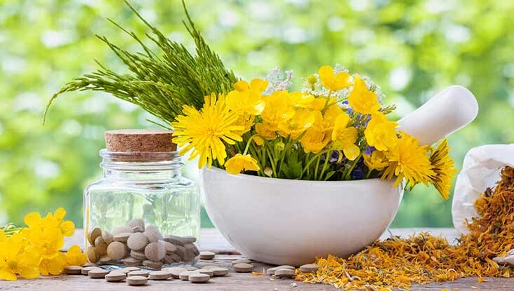 Stay Healthy Via Natural Medicines