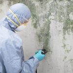 Mold-Removal