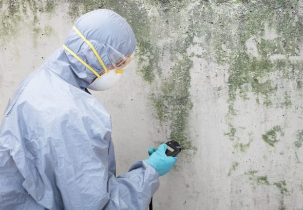 Mold-Removal