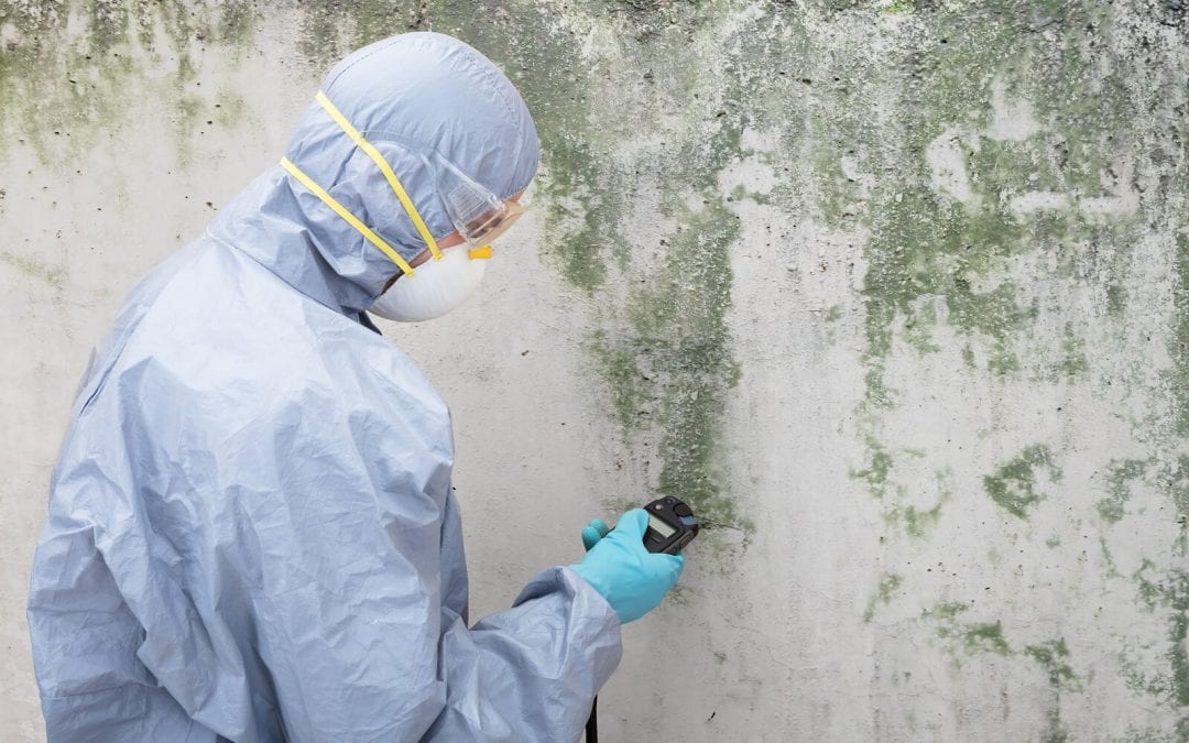 Mold-Removal