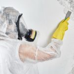 Mold Removal