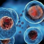 Restoring Cellular Balance: How Regenerative Therapies Encourage Natural Tissue Repair